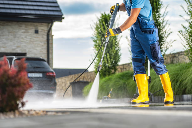 Best Gutter Cleaning  in Mcewen, TN